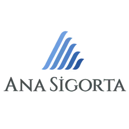 ana-sigorta